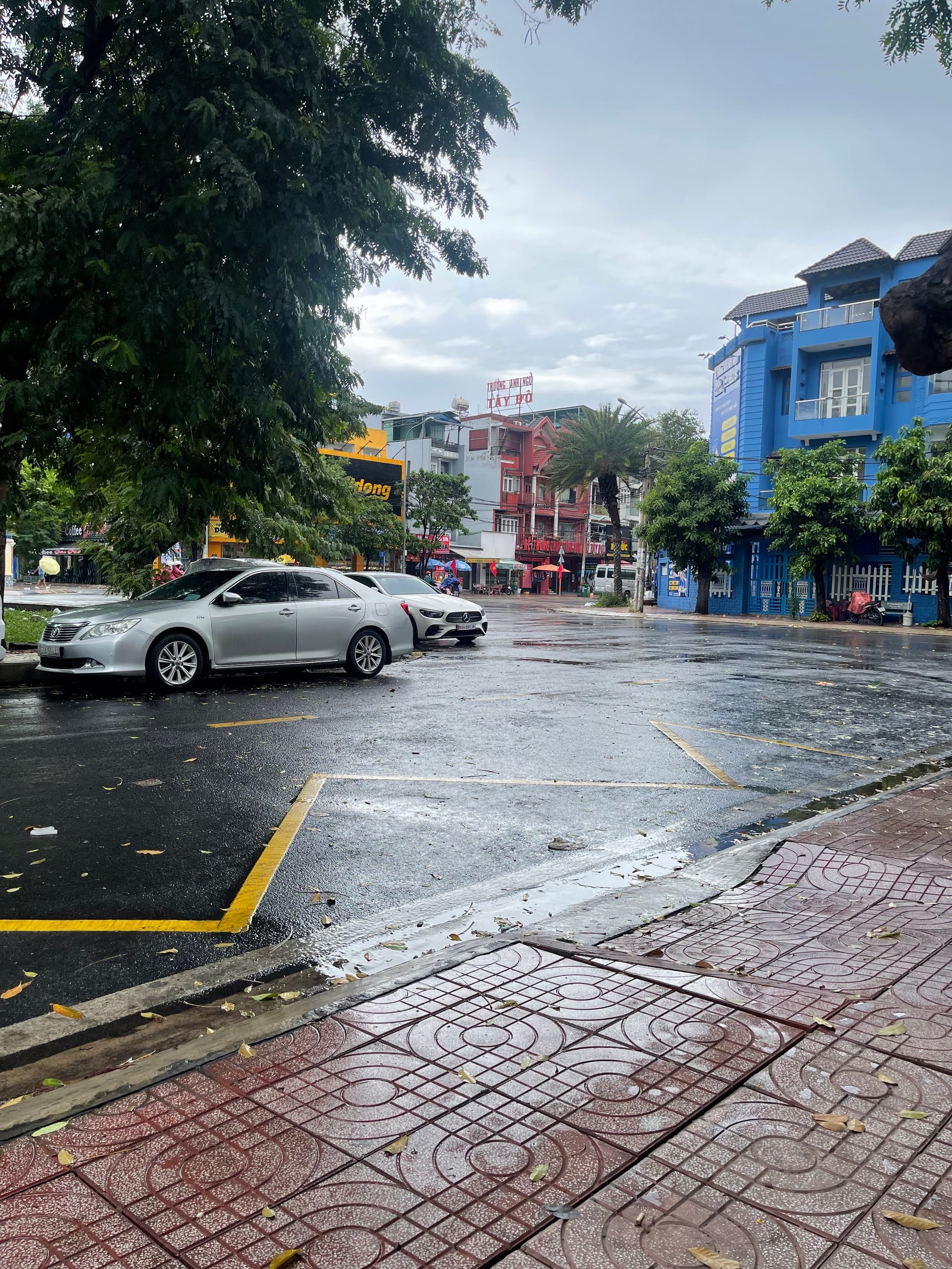 Ngày mưa buồn · Công viên Bách Tùng Diệp
